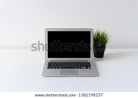 Open laptop and green plant on the desk with white background