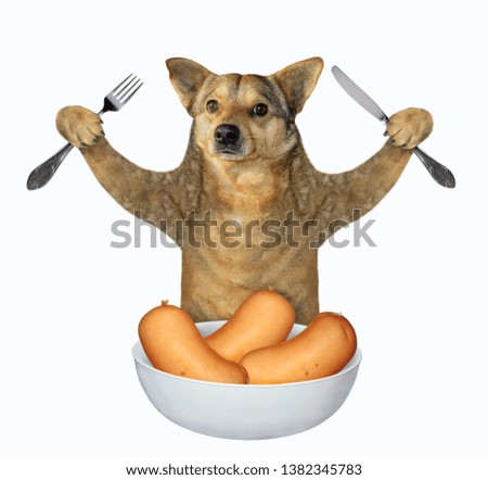 The dog with a knife and a fork sits in front of the big bowl of sausages. White background. Isolated.