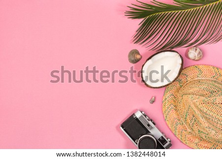 coconut, camera, hat,  on a pink background top view