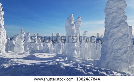The Enchanted Forest of the Arctic Circle, Alaska; Unusual Snow Covered Tree Forest/Landscape in the Polar Region Royalty-Free Stock Photo #1382467844