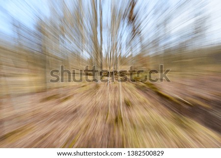                     Spring forest blurred background texture.           