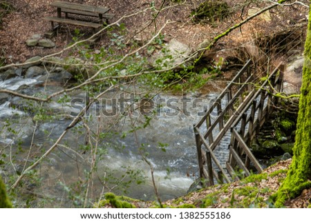 Wooden bridge across a beautiful stream in the spring forest in the area Lake District. UK