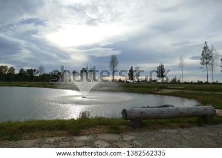 Forest Lake Evening sky Reed Natural composition Photo