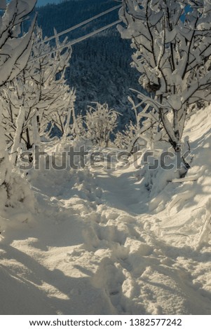 Snow covered road in mountains - Majestic winter landscape in himalayas - India