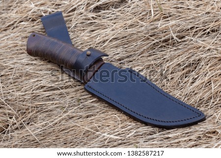 tourist knife on dry grass, hunting knife, killing, knife found, cold arms