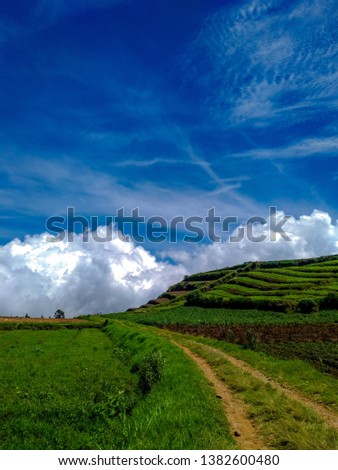 fields in the mountains and there is a blue sky above it