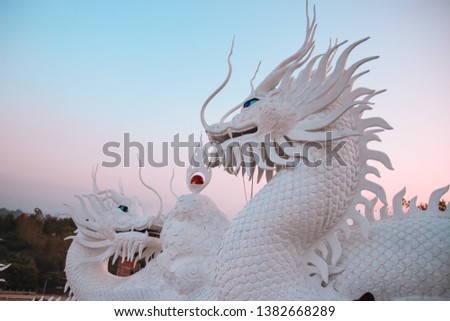 White Dragon, White Dragon Chinese from Chiang Rai province,Thailand.