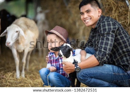 The father and son, the sheep farm owner, hug a small lamb in the embrace with love in their pet.