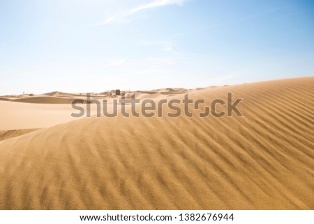 Gold desert in sunset. Canary Islands, Canaries. Grand Canary. Maspalomas, Resort Town.