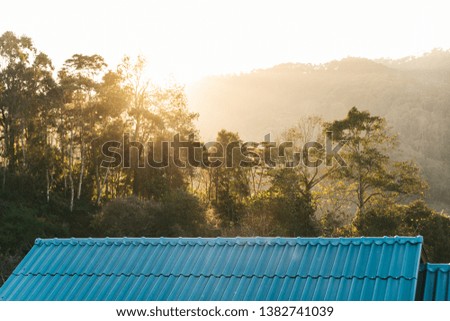 Tree branches on blue house roof and mountain with sunlight and fog in the evening in the Akha village of Maejantai on the hill in Chiang Mai, Thailand.
