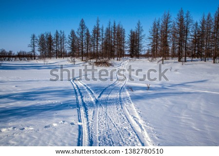 Beautiful winter landscape, frost on the branches of trees,Traces from tracks of the cross-country vehicle; trail tracks from an all-terrain vehicle on snow