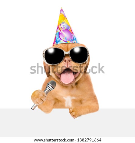Funny puppy in party hat and sunglasses holding microphone above white banner. Isolated on white background