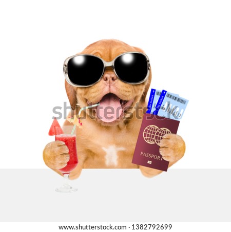 Funny puppy with sunglasses holds airline tickets, passport and tropical cocktail above white banner. isolated on white background