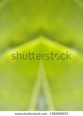 Abstract out of focus lights coming from the mother nature with abstract background of Green leaves. Abstract background of Green color. 
