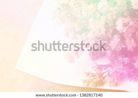 Sweet and pastel color  flower ,Soft and blurry focus photo in vintage style,blurry image