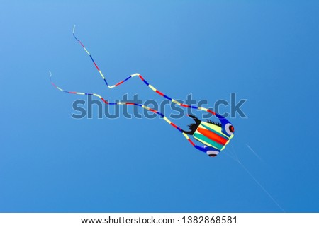 Colorful kite and blue sky at Sankt Peter Ording in Germany