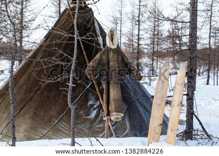 Extreme north, Yamal, pastures of the Nenets, dwellings of the peoples of the north, a yurt in the forest, attributes of residents of Alaska and Chukotka, yurt,  ski