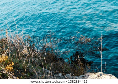 Blue sea view at azure water and stones and grass at seashore. Text space copy.