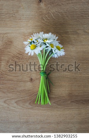 Top view of a bunch or a bouquet of fresh blooming daisies on a wooden background with copy space. Hello spring or floral spring background