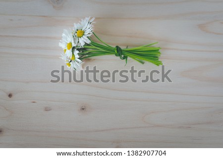 Top view of a bunch of fresh blooming daisies on a pale wooden background with space. Hello spring or spring flowers background
