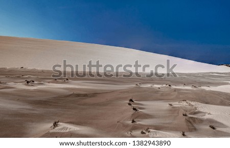Spring midday. Moving sand dunes at Slowinski National Park near Leba, Pomeranian Voivodeship, Poland.