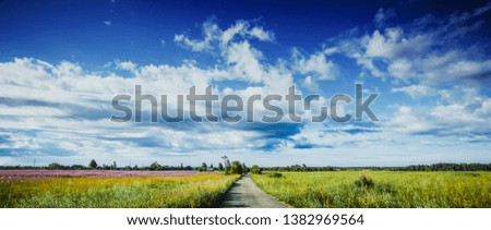 Rural nature landscape - road and meadow. Summer panoramic