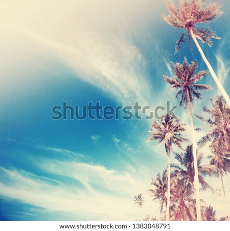 palm background with a beach in vintage color 