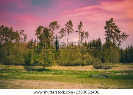 Free, open air grill place in the nature (called Suppenkopf) near Heidenheim an der Brenz, Germany in magical evening colors. Royalty-Free Stock Photo #1383052406