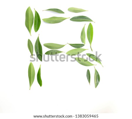 Letter  R  symbol of green leaves. isolated on white background