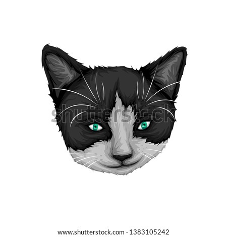 Vector of cat's head isolated on white background