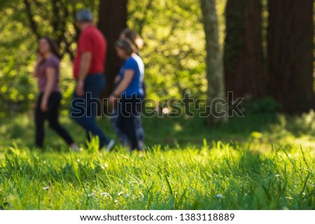 Family fitness and healthy lifestyle concepts. Walking together for good health. Fighting overweight background. Silhouettes of blurry people walking in park. Selective focus on green grass.