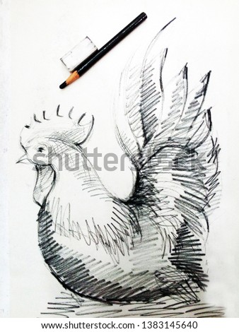 Art  Drawing  Draw fast  chicken  hen  thailand,  sketch , stroke drawing