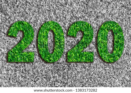 2020 Green lawn for gray background. 2020 Green grass texture background. top view.