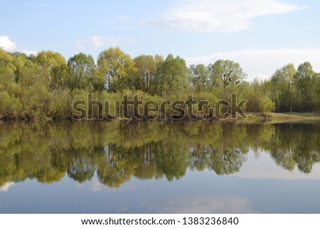 River, green forest, reflection of green forest in the water, in spring.