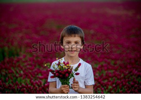 Beautiful child in gorgeous crimson clover field on sunset, gathering fresh spring flowers for mom for Mothers day, springtime