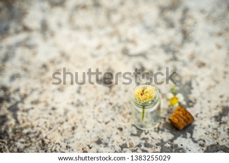 Glass bottles have small flowers on the cement floor.