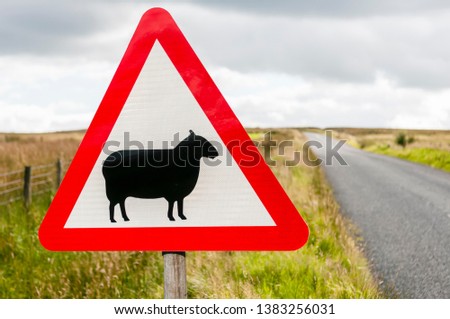 Sign on a rural road warning drivers of the presence of sheep.