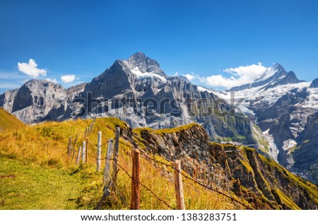 Morning view on Bernese range with Mounch, Eiger Faulhorn and Reti peaks. Popular tourist attraction. Location place Swiss alps, Grindelwald valley, Europe. Artistic picture.