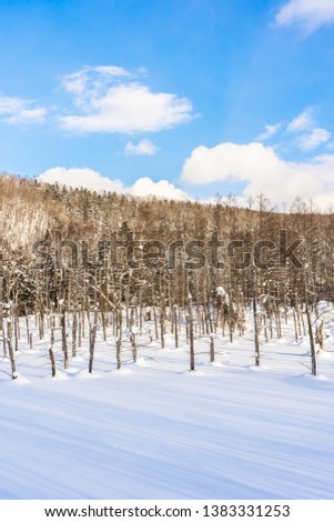 Beautiful outdoor nature landscape with blue pond tree branch in snow winter season Hokkaido Japan