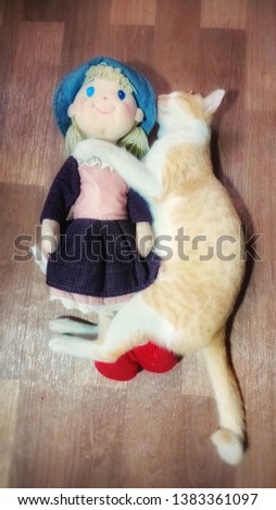 Cloth dolls and cat sleep