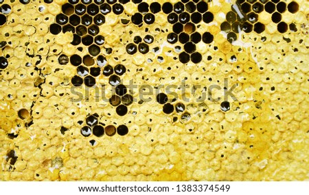 Honeycomb patterns texture with honey drip top view , nature background