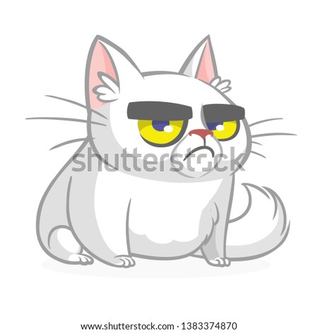 Cartoon grumpy white cat. Vector illustration isolated