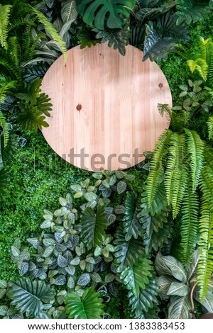 Circle wooden sign board on vertical green leaves wall background. Decorated wall with blank signage and plants.