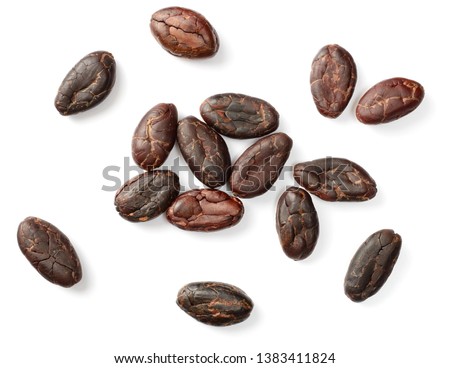 dried cocoa beans isolated on white background, top view Royalty-Free Stock Photo #1383411824