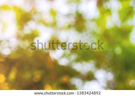 Abstract bokeh Leaves and lighting glitter background.