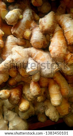 Ginger fresh and new for health
