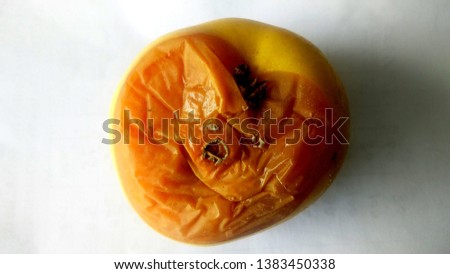 Rotten apple due to fungus infection