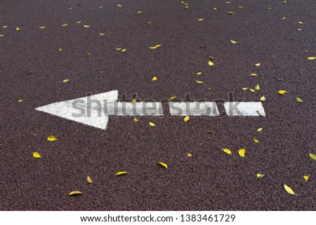 Fallen leaves and white arrow marks on red asphalt runway in autumn park