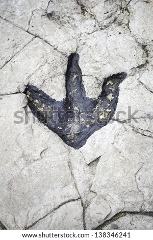 Dinosaur footprint in stone, nature and extinct animals Royalty-Free Stock Photo #138346241