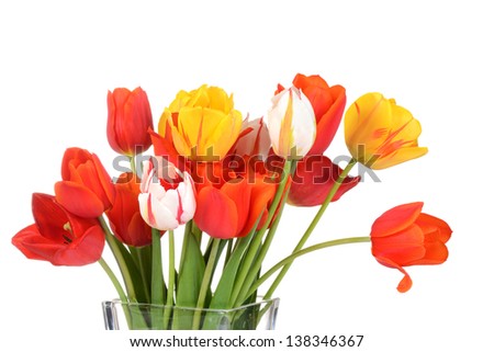 Macro colorful tulips in a vase